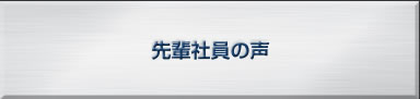 先輩社員の声